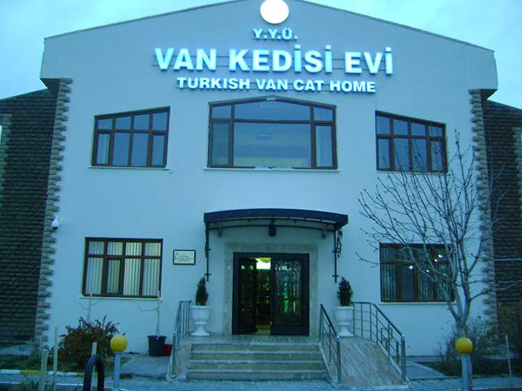 Van Kedisi Evi - Van