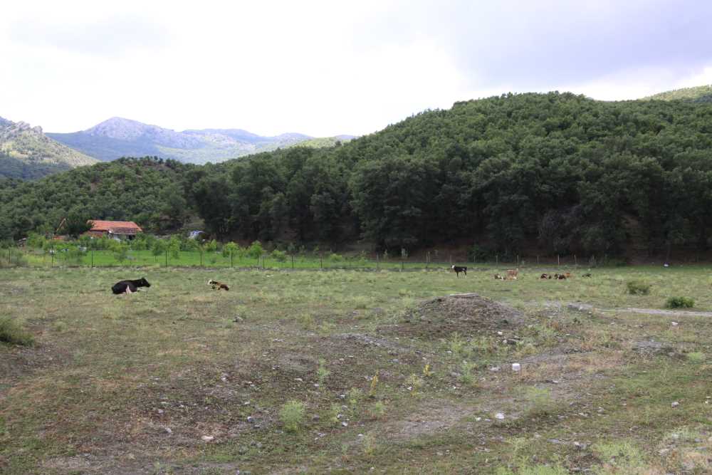 Bozok Yaylası - Yozgat