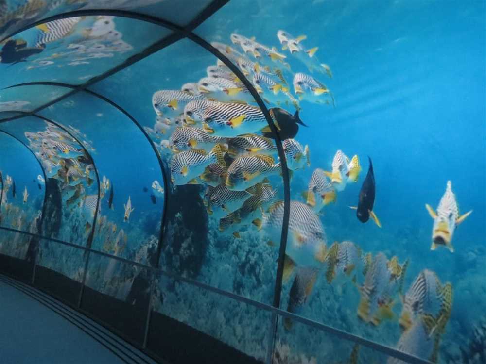 Maden Tetkik Arama Şehit Cuma Dağ Tabiat Tarihi Müzesi - Ankara