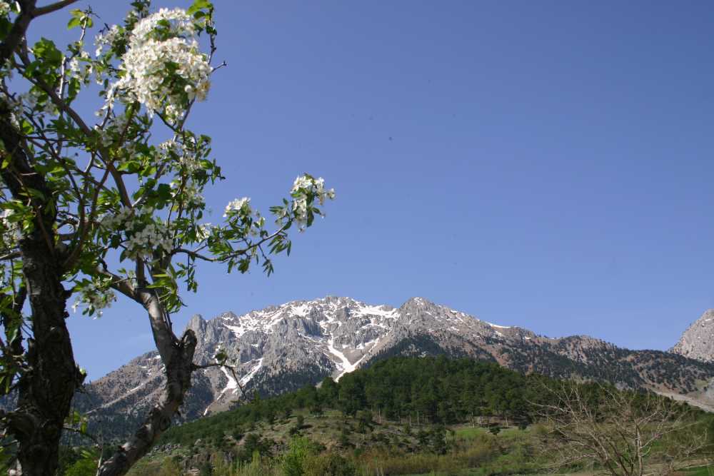 Tekir Vadisi - Kahramanmaraş