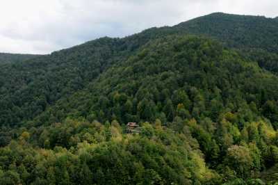 Güzeldere Şelalesi Tabiat Parkı - Düzce