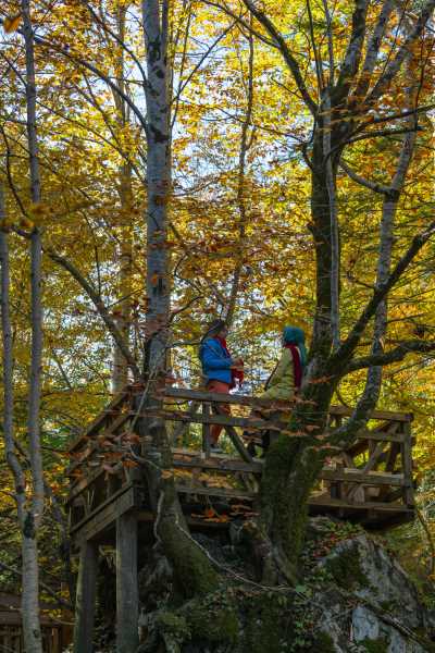 Düzce Şelaleleri - Düzce