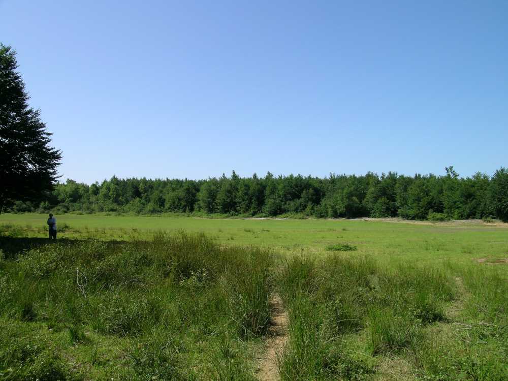 Karlık Yaylası - Yalova