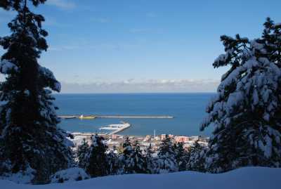 Asarkaya Kent Ormanı - Ordu
