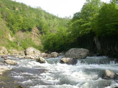 Turnasuyu Vadisi (Yürüyüş Parkuru) - Ordu