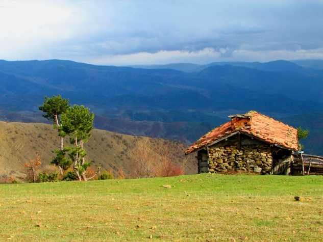 Buzluk Yaylası - Sinop