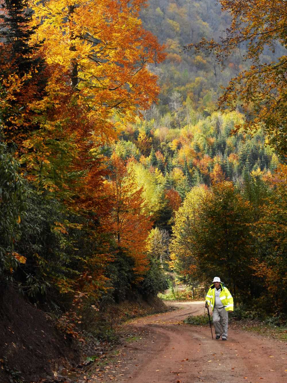 Dikmen Yaylası - Sakarya