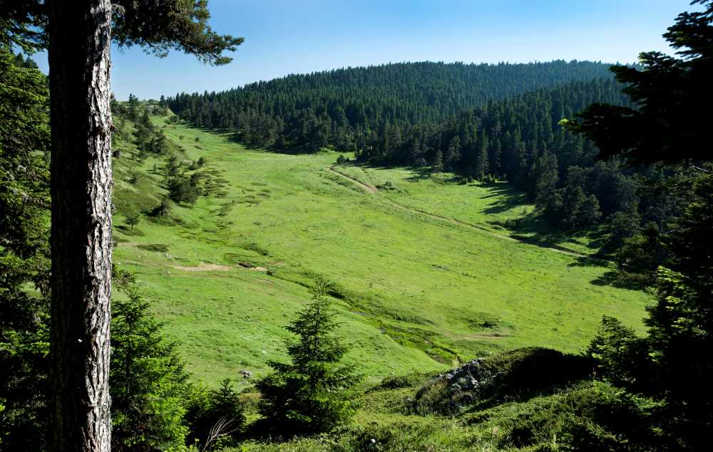 Kömürsu Yaylası - Bilecik