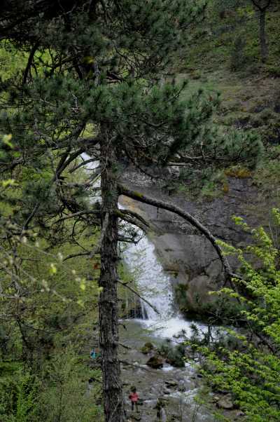 Yoğunpelit Şelalesi - Düzce