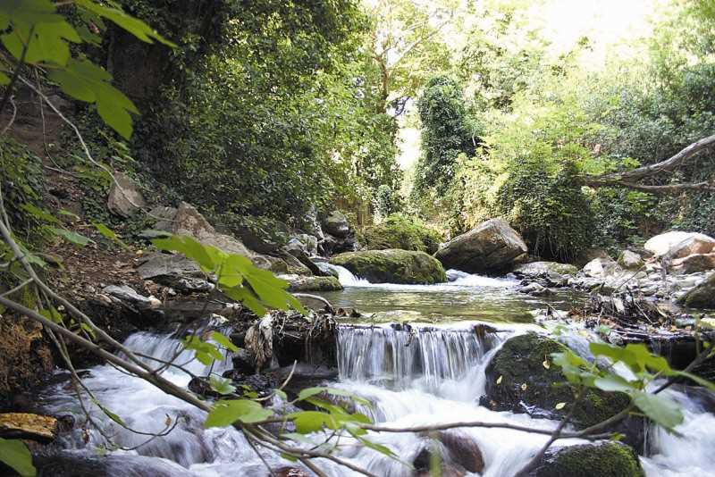Kazdağı Milli Parkı - Balıkesir