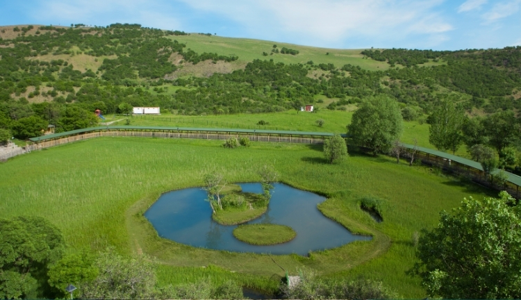 Bingöl'de Gezilecek Yerler , Müzeler ve Ören Yerleri