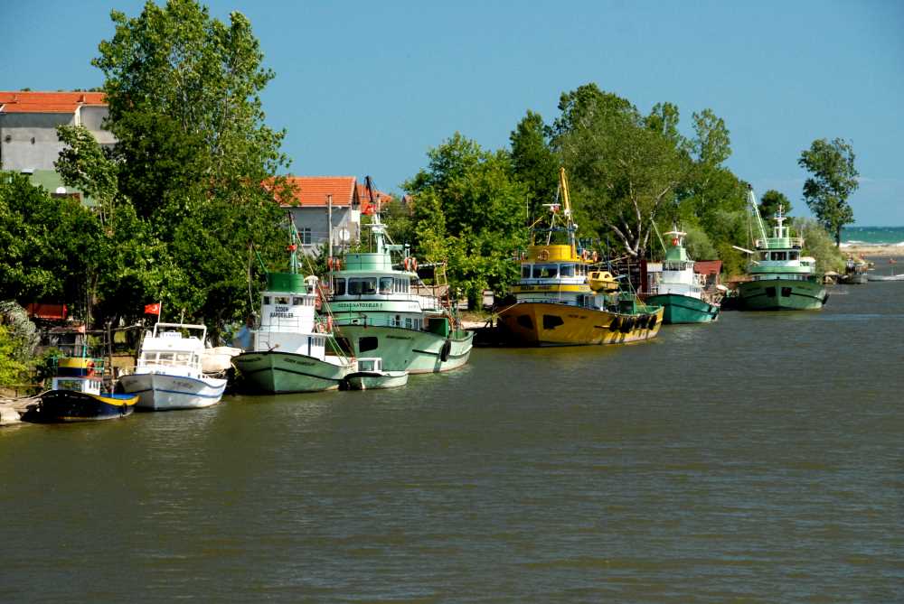 Yenimahalle (Sakarya Nehri Ağzı) - Sakarya