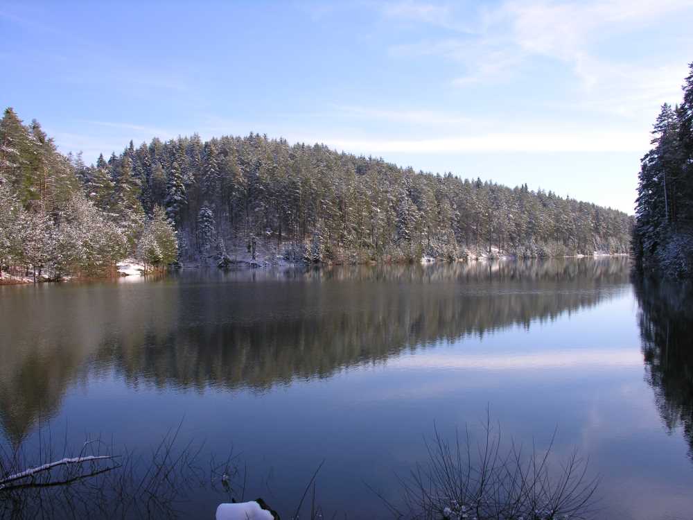 Bozcaarmut Göleti - Bilecik