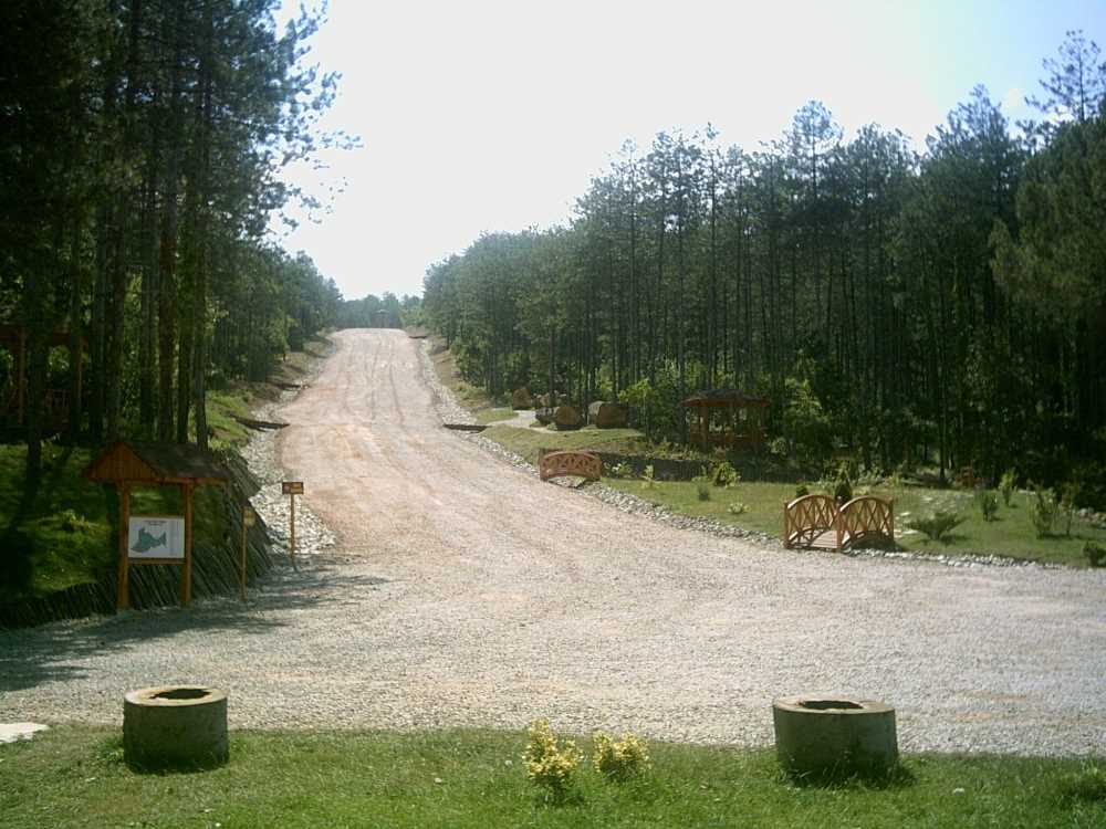 Kocaeli Kent Ormanı - Kocaeli