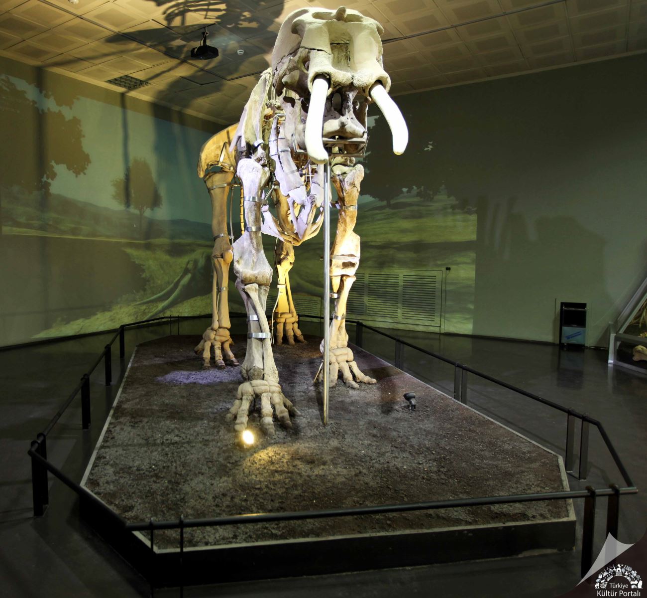 Kahramanmaraş Arkeoloji Müzesi - Kahramanmaraş