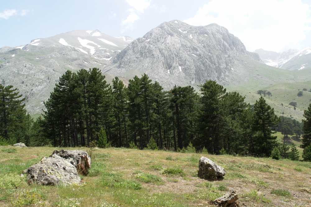 Melikler Yaylası - Isparta