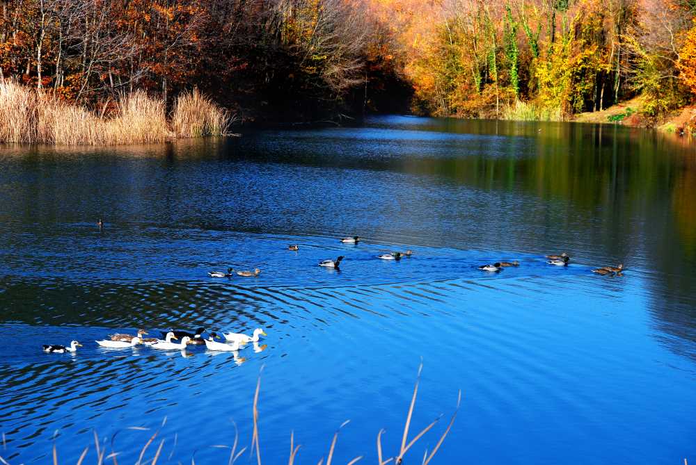 Saklıgöl - Sakarya