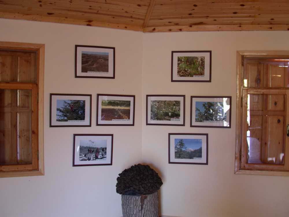 Emirler Örenyeri Ve Kent Ormanı Müzesi - Mersin