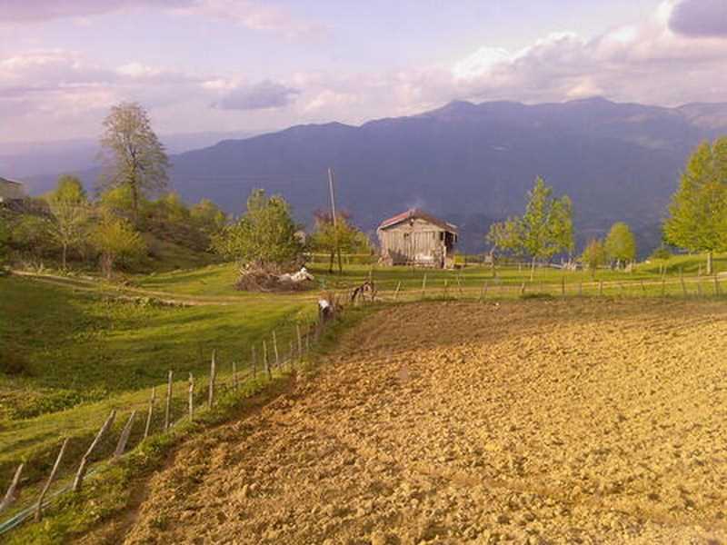 Güzlek Yaylası - Sakarya