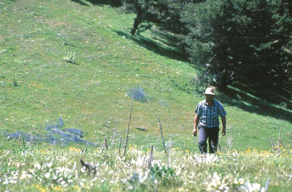Yahyasaray Yaylası / Sırıklı Yaylası - Yozgat