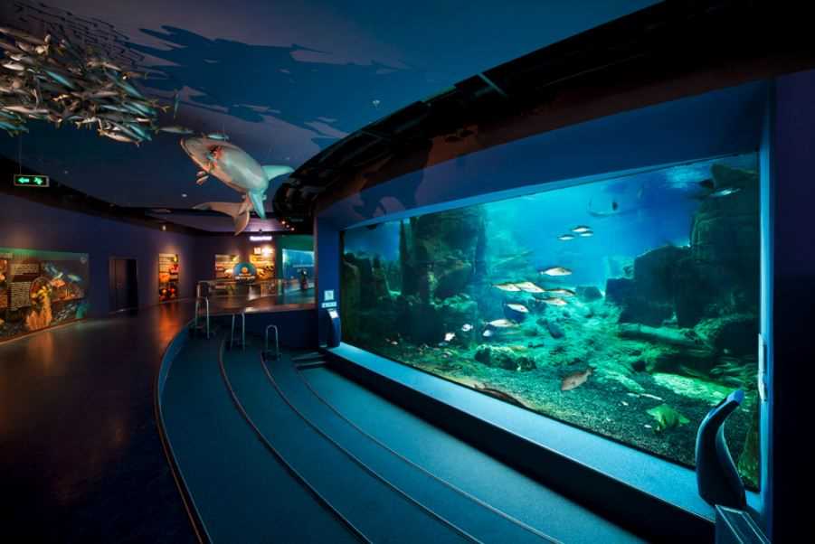 İstanbul Akvaryum - İstanbul