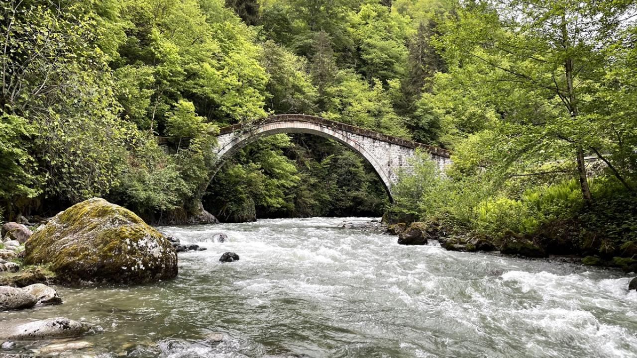 Rize'nin Köprüleri - Rize