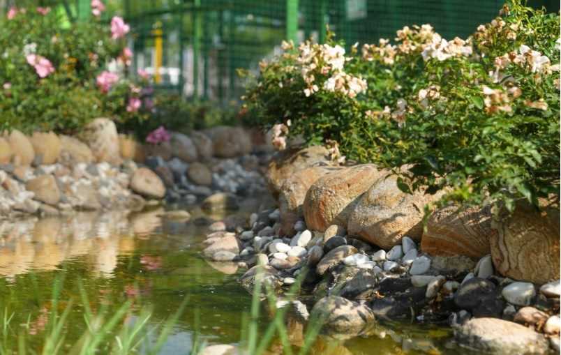 Çorlu Mini Hayvanat Bahçesi - Tekirdağ