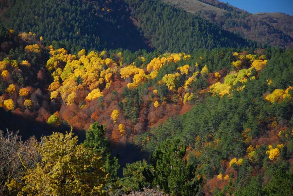 Kargı Yaylası - Çorum