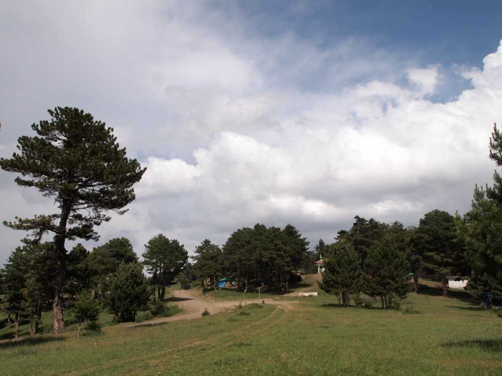 Osmancık Başpınar Karaca Yaylası - Çorum