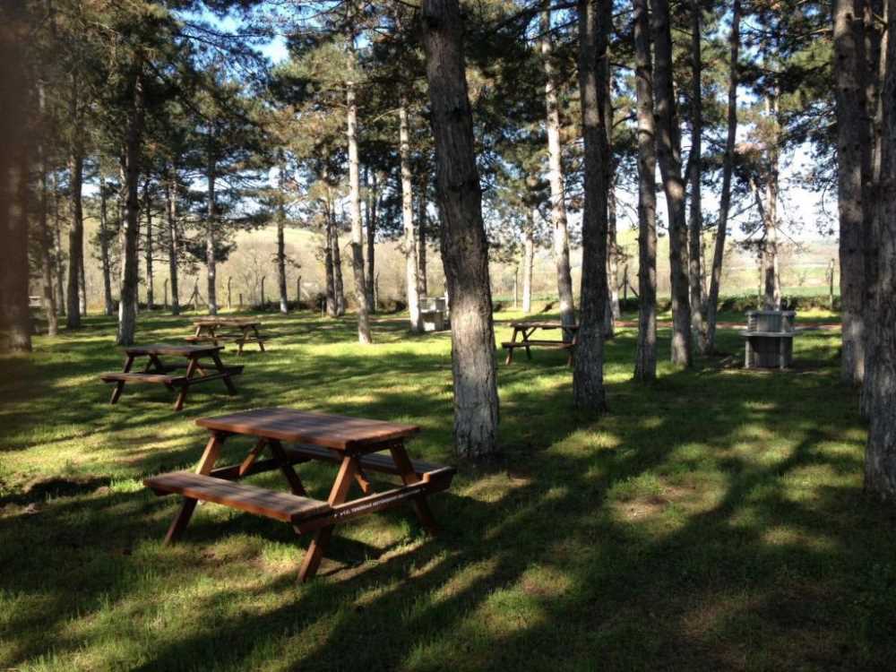 Muratlı İnanlı Mesire Alanı - Tekirdağ