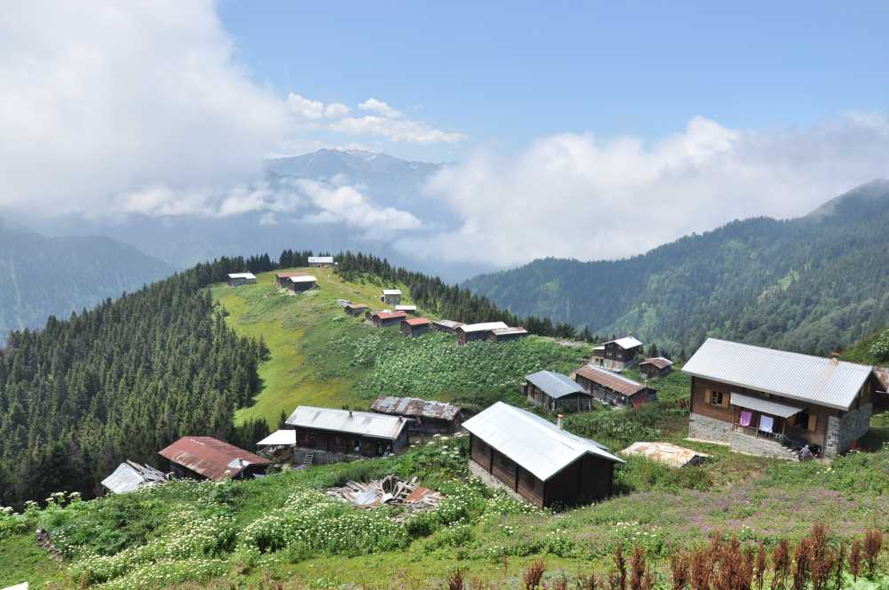 Pokut Yaylası - Rize