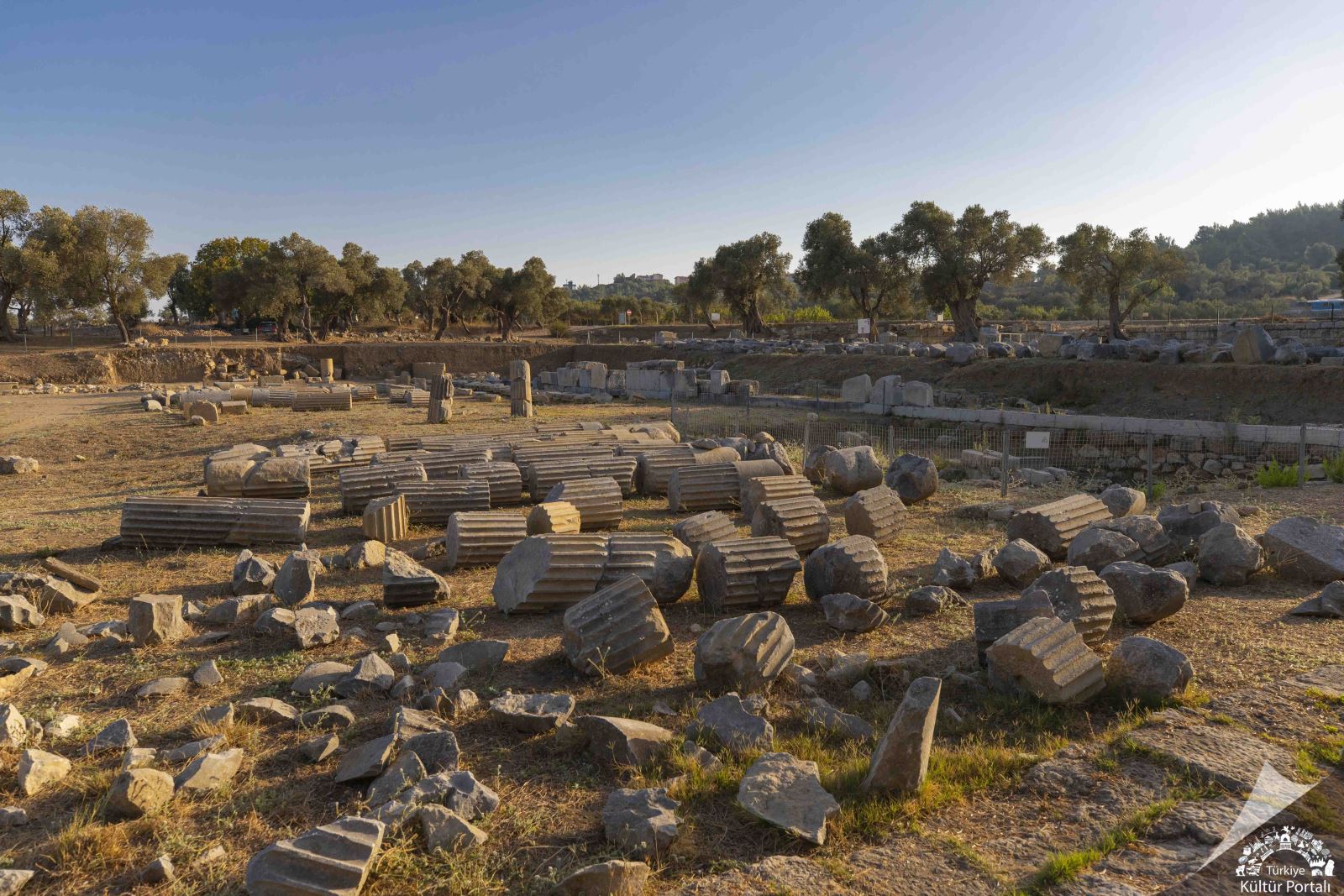 Teos Antik Kenti - İzmir