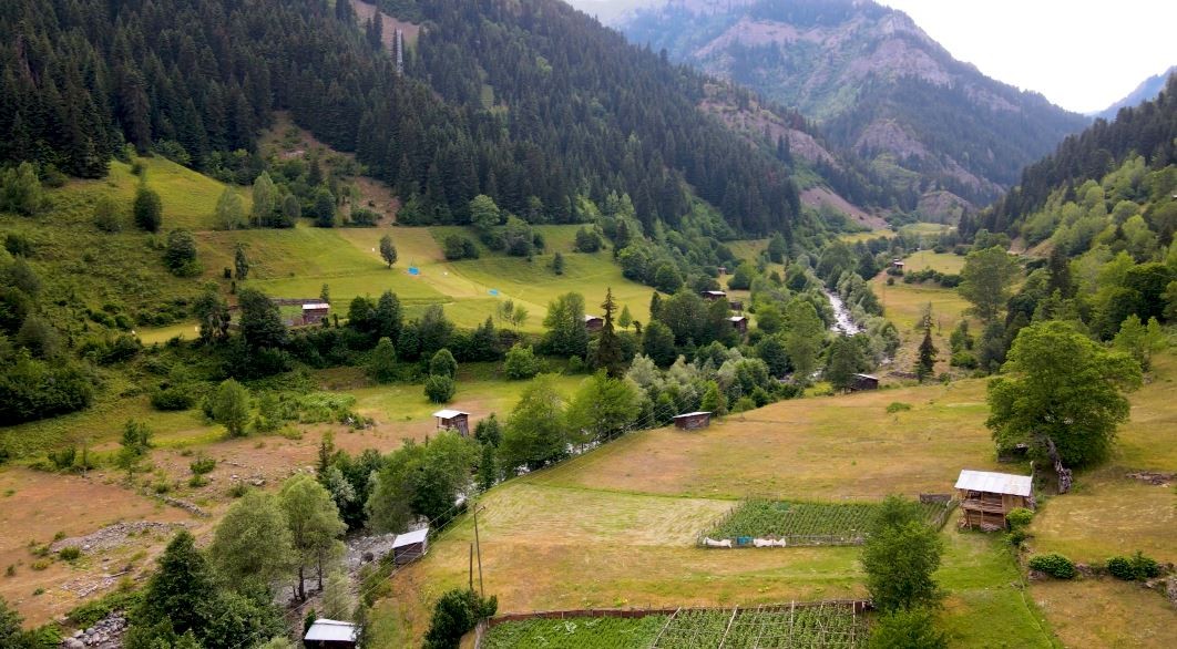 Papart Yaylaları - Artvin