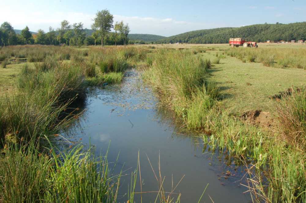 Delmece Yaylası - Yalova