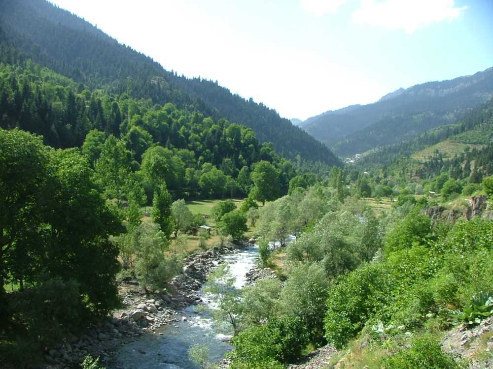 Papart Vadisi - Artvin