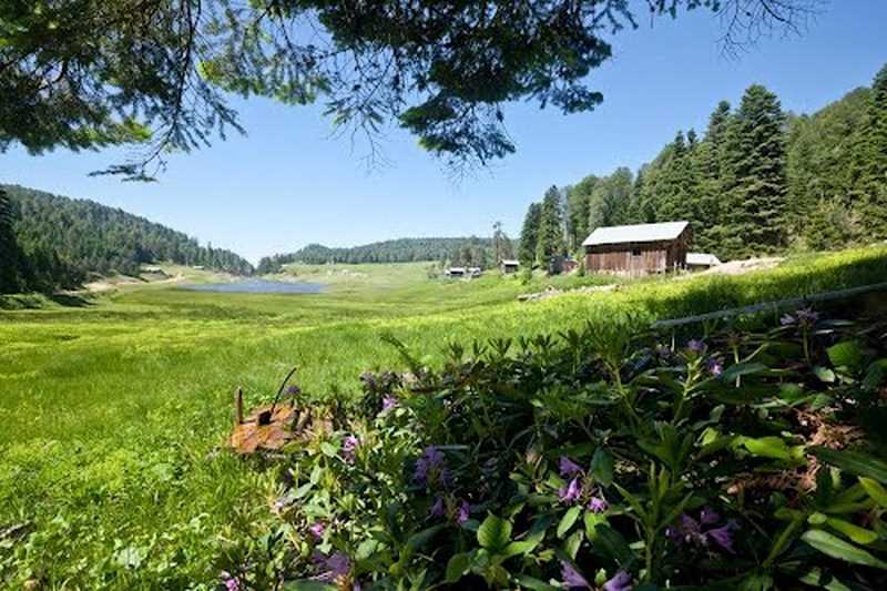 Turnalı Yaylası - Sakarya