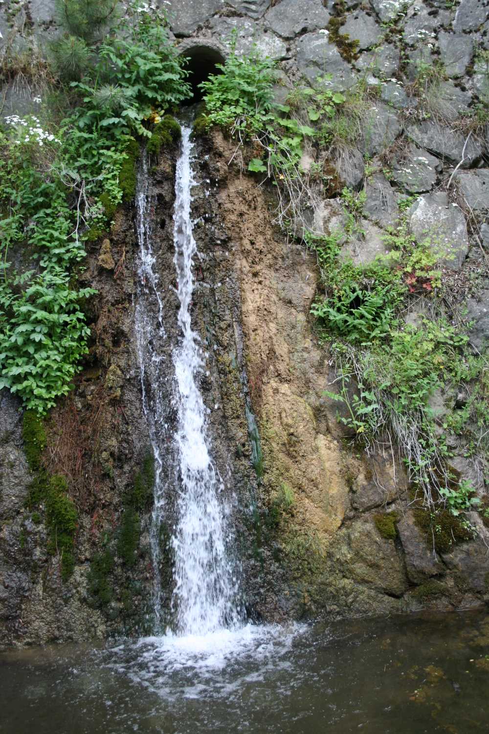 Eldivan Bülbül Pınarı - Çankırı