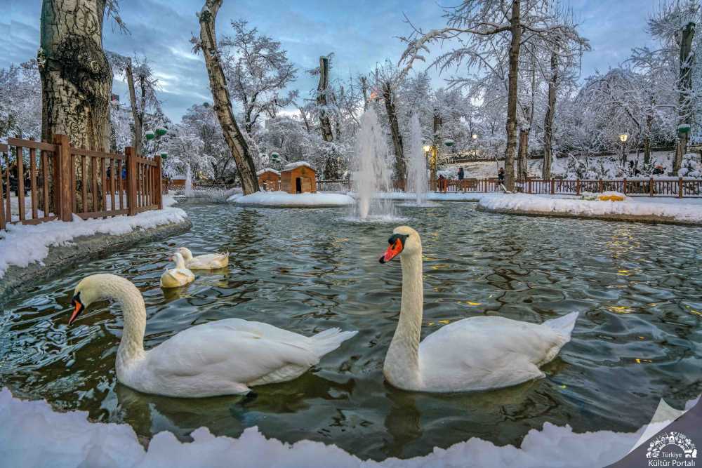 Kuğulu Park - Ankara
