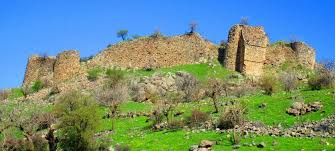 Derzin Kalesi - Siirt