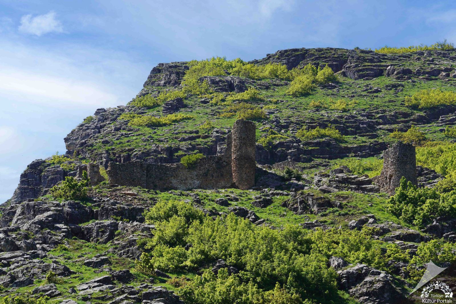 Haspet Kalesi - Muş