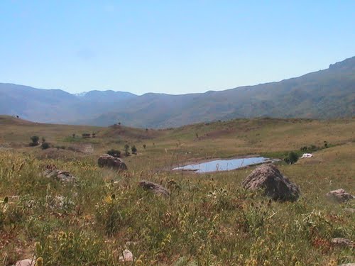 Şahverdi Arkeolojik Sit Alanı - Tunceli