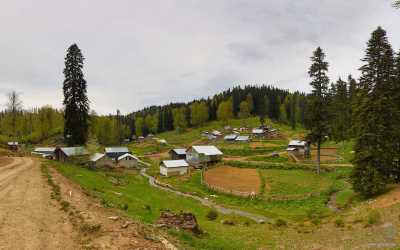 Sırık Yaylası - Düzce