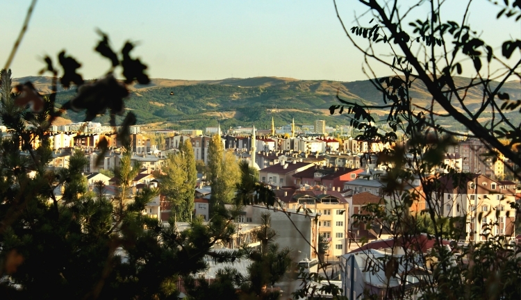 Sivas'da Gezilecek Yerler , Müzeler ve Ören Yerleri