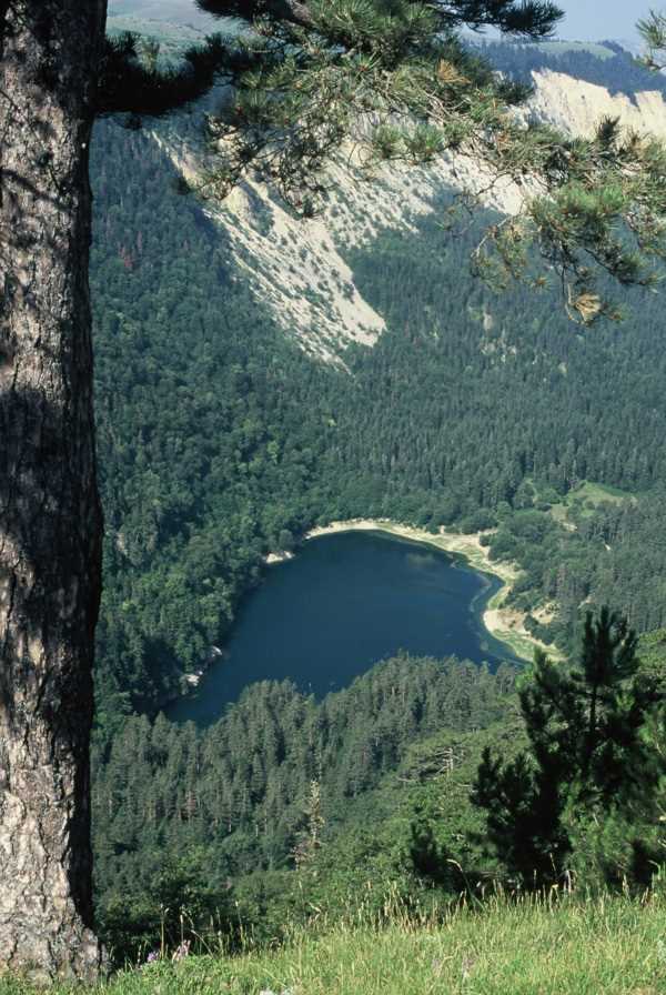 Davlumbaz Yaylası - Sakarya