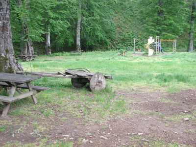 İteniçi Mesire Yeri - Ordu