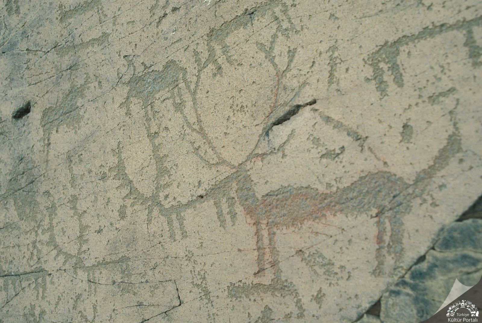 Camuşlu Kaya Resimleri - Kars