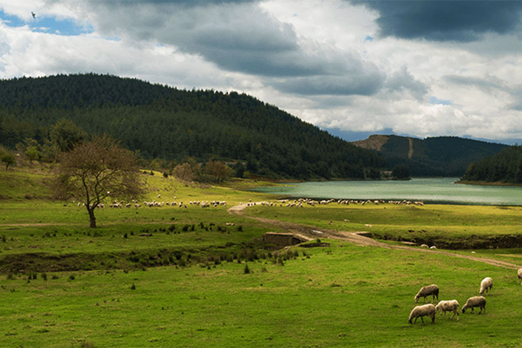 Kozan-Horzum Yaylası - Adana