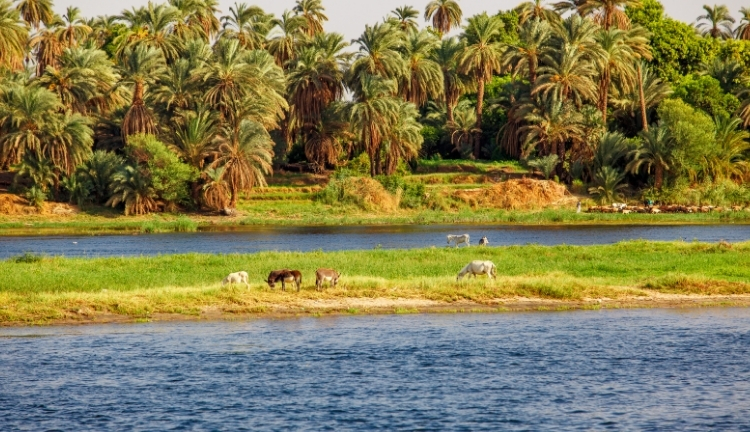 5* DLX NEHİR GEMİSİ ile ANTİK MISIR & GİZEMLİ NİL NEHRİ TURU - 2026